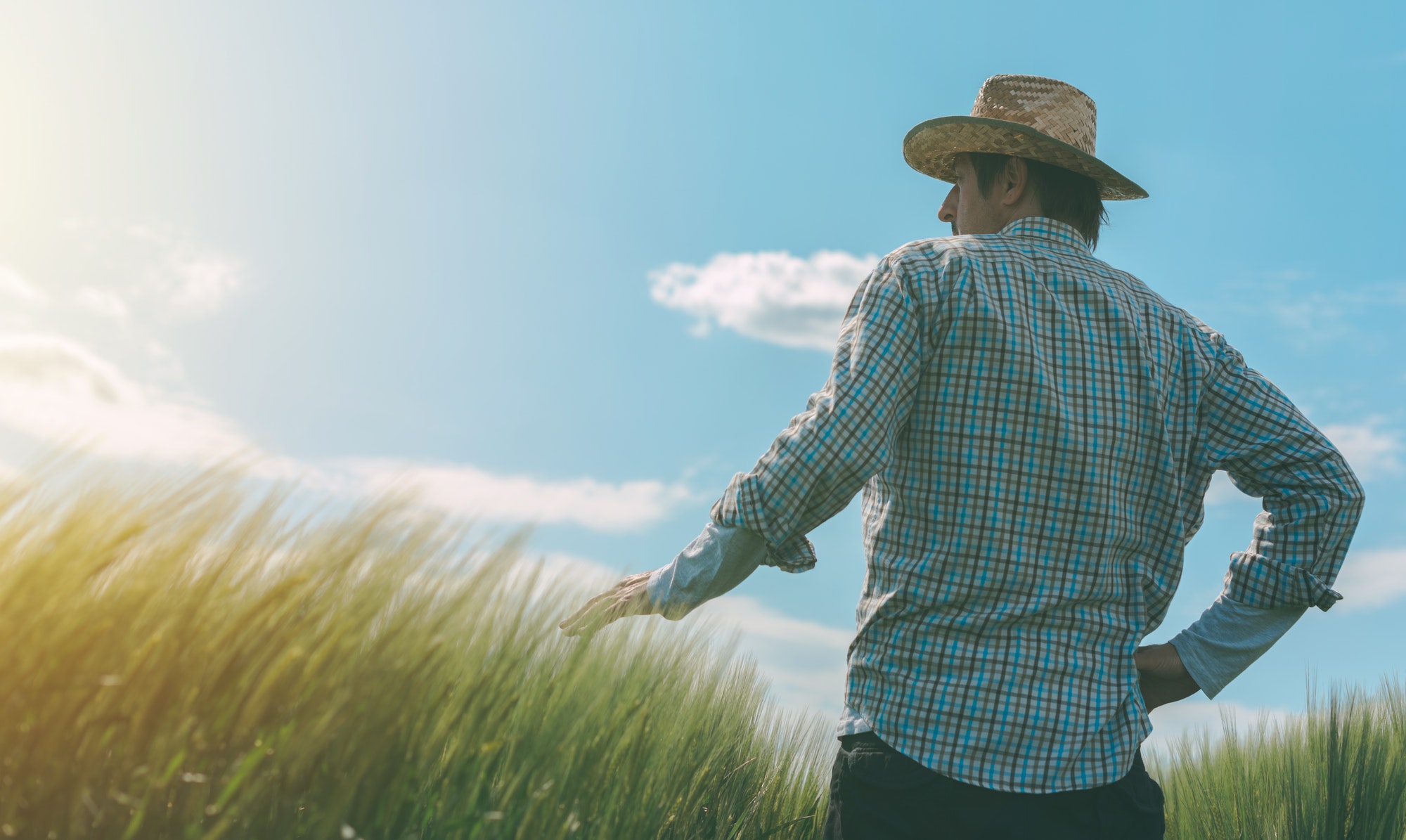 фото фоллоу ми поле. Peasant senior. фермер смотрит вверх. Into the field. Into the field.